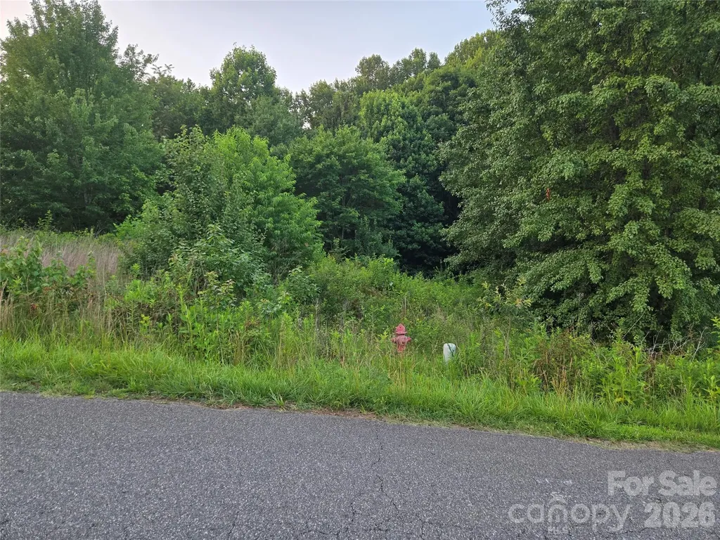 0 Stable Brook Lane Taylorsville NC 28681