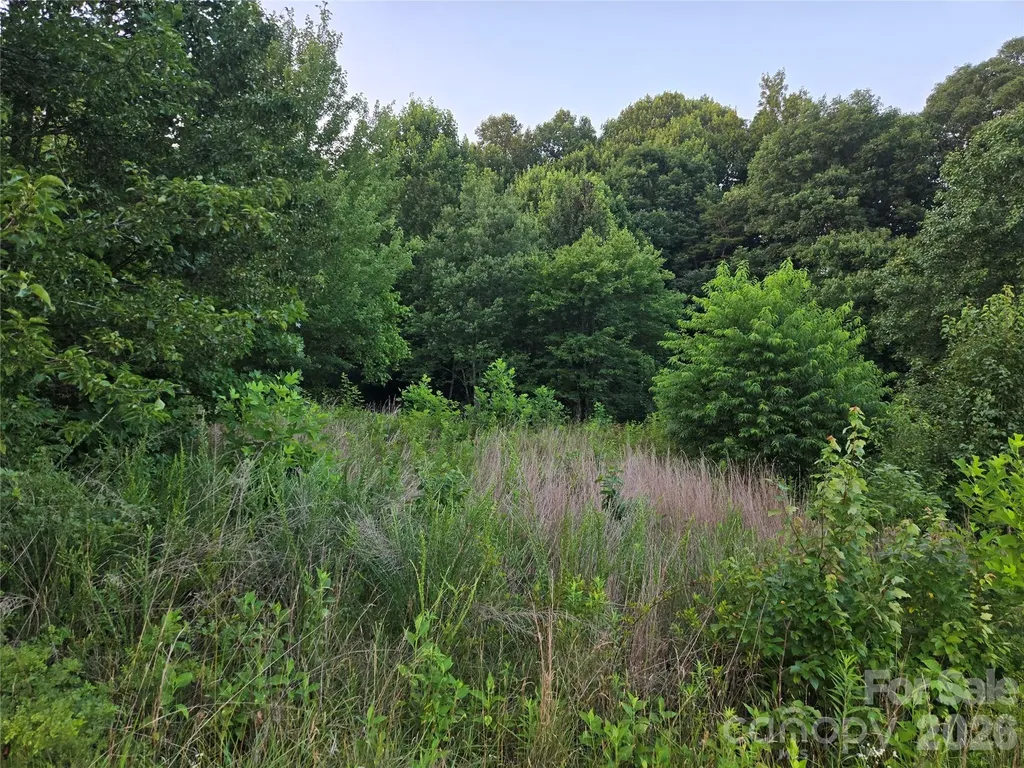 0 Stable Brook Lane Taylorsville NC 28681