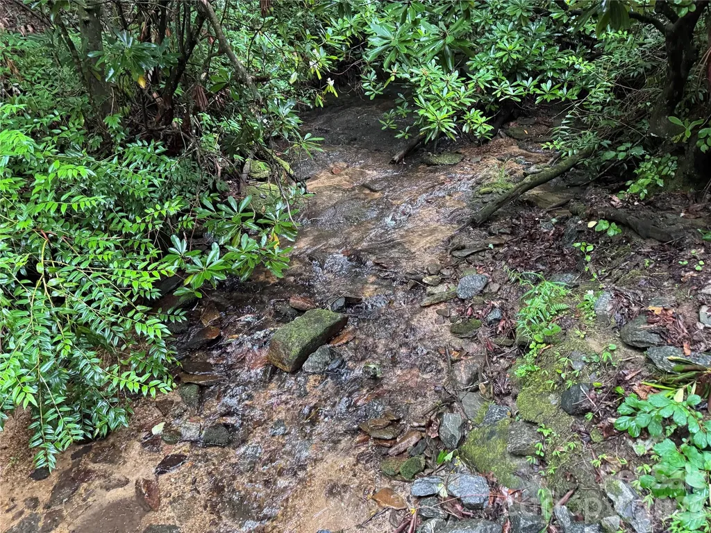 280 Laurel Creek Cedar Mountain NC 28718