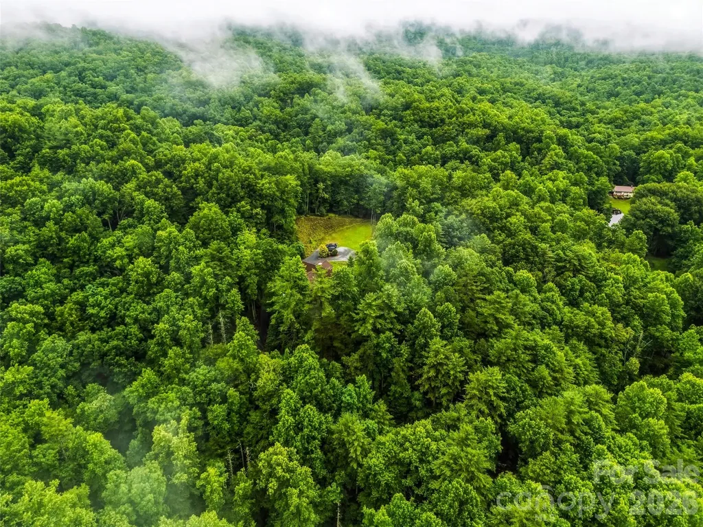 280 Laurel Creek Cedar Mountain NC 28718