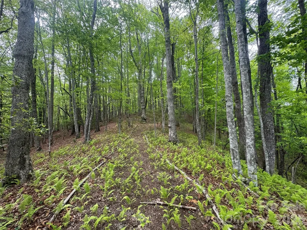 280 Laurel Creek Cedar Mountain NC 28718