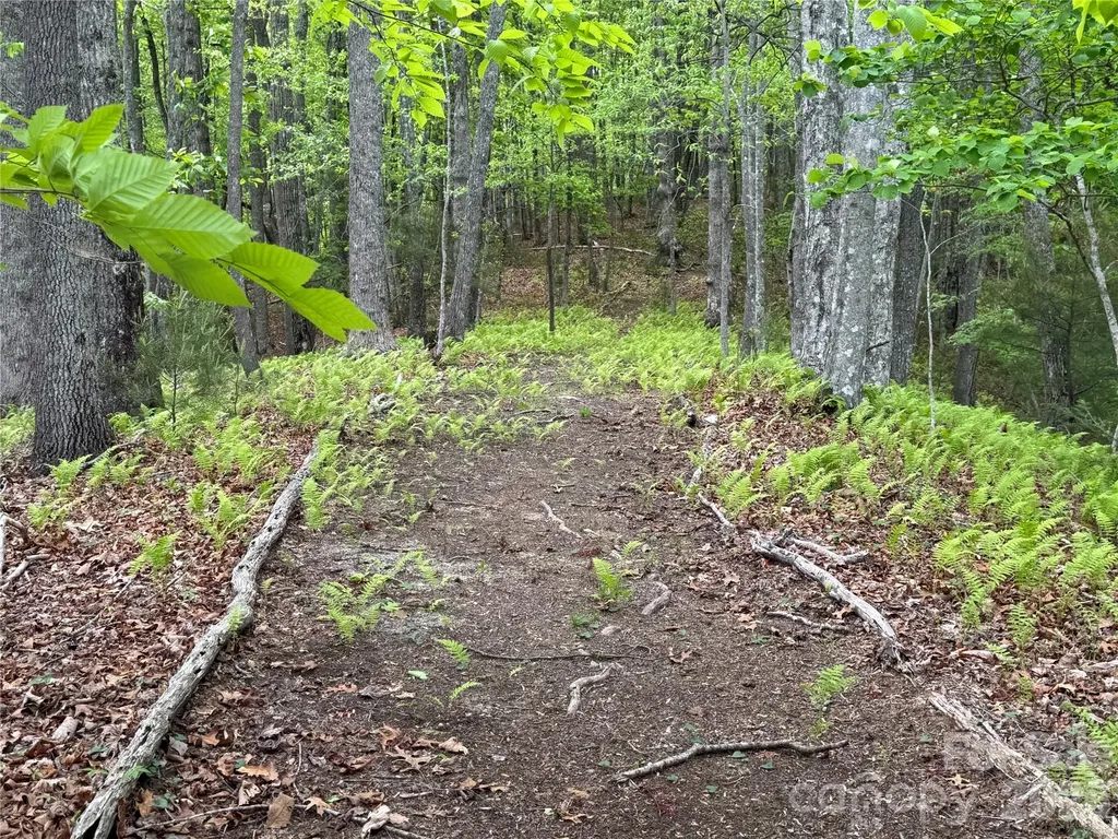 280 Laurel Creek Cedar Mountain NC 28718