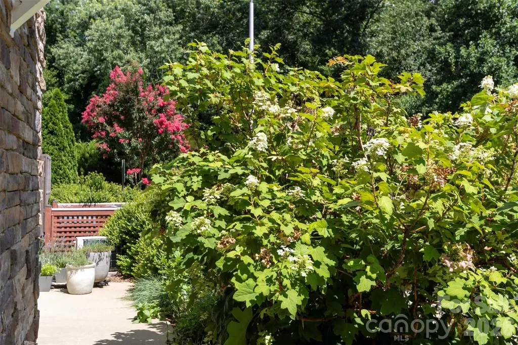 40 Hyannis Drive Asheville NC 28804
