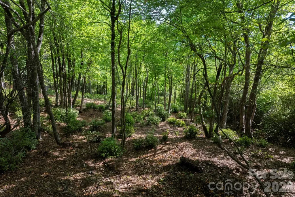 Lot 114r Toxaway Drive Lake Toxaway NC 28747