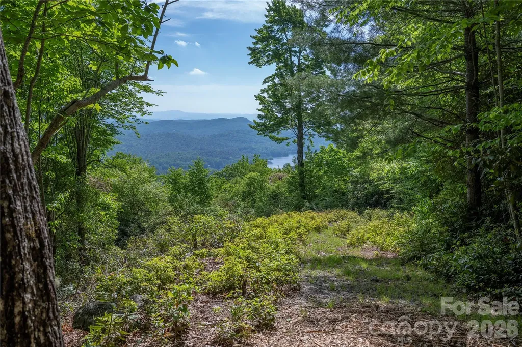 Lot 114r Toxaway Drive Lake Toxaway NC 28747