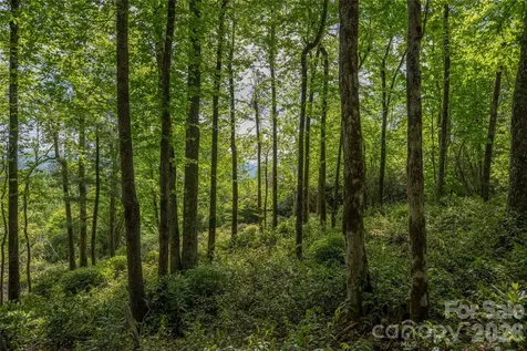 Lot 114r Toxaway Drive Lake Toxaway NC 28747