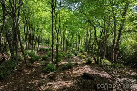 Lot 114r Toxaway Drive Lake Toxaway NC 28747