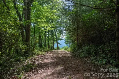Lot 114r Toxaway Drive Lake Toxaway NC 28747