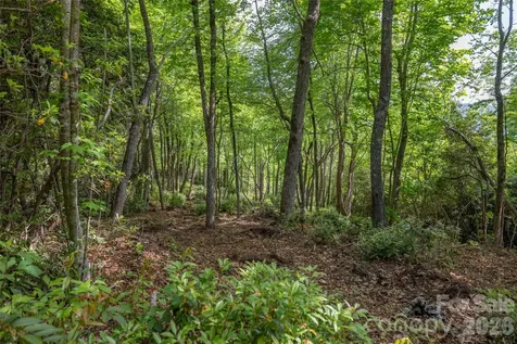 Lot 114r Toxaway Drive Lake Toxaway NC 28747