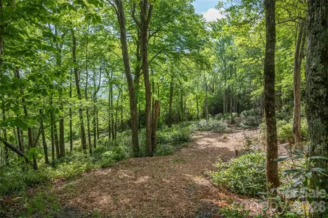 Lot 114r Toxaway Drive Lake Toxaway NC 28747