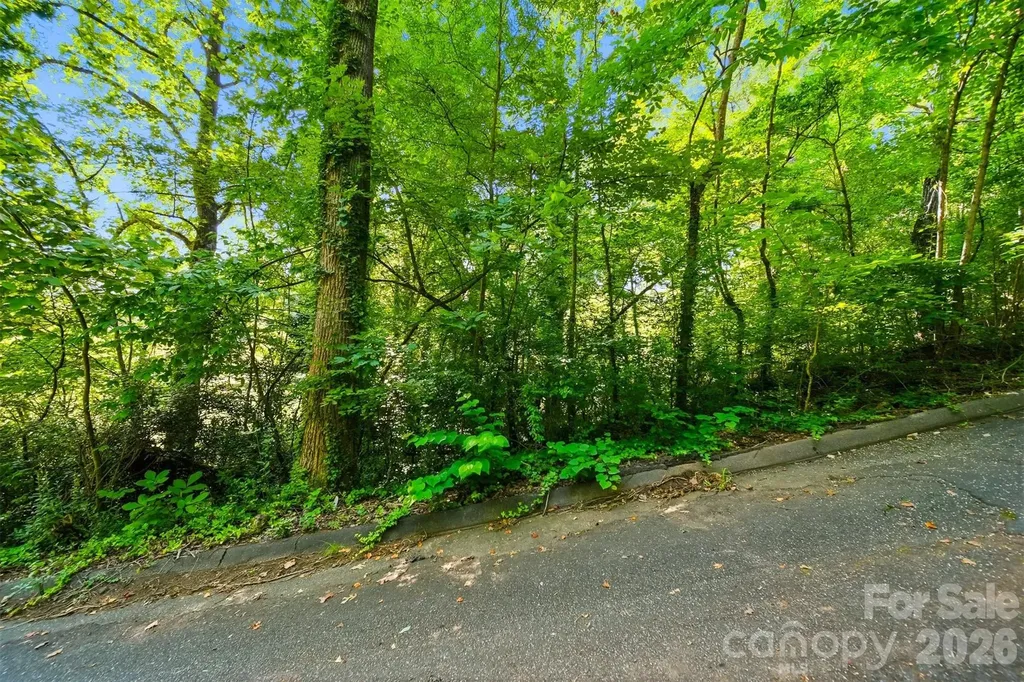 Tbd Archer Street Granite Falls NC 28630
