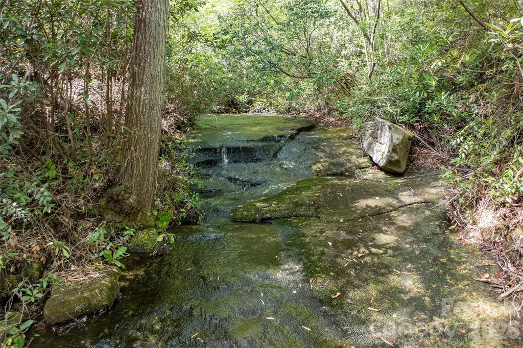 River Camp Long Ridge Road Lake Toxaway NC 28747