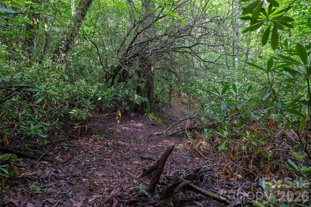 River Camp Long Ridge Road Lake Toxaway NC 28747