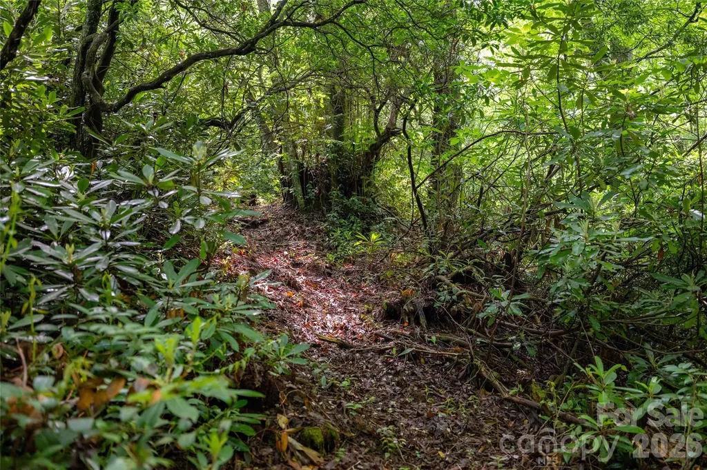 River Camp Long Ridge Road Lake Toxaway NC 28747