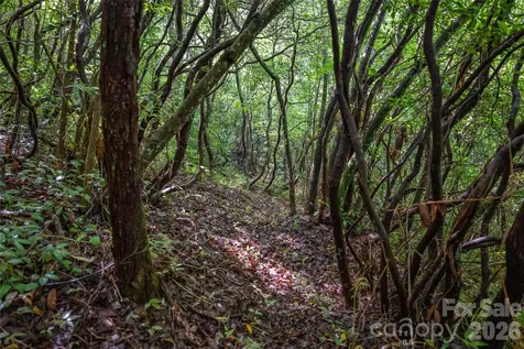 River Camp Long Ridge Road Lake Toxaway NC 28747