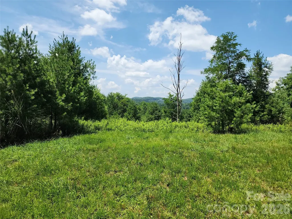 00 Chestnut Drive Blowing Rock NC 28605