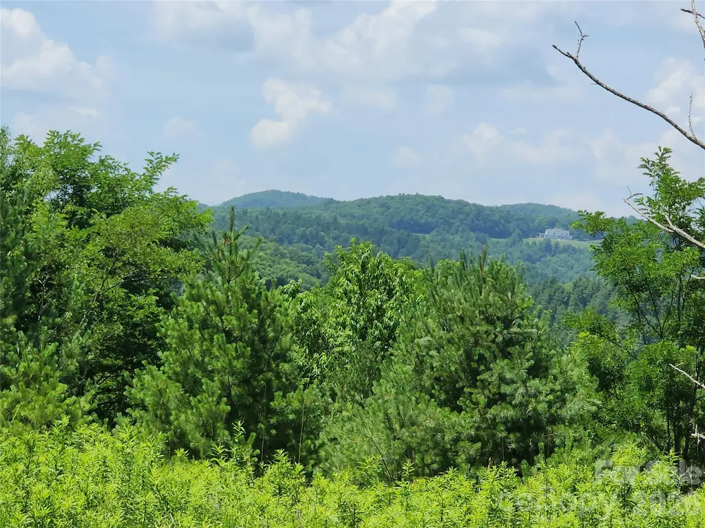 00 Chestnut Drive Blowing Rock NC 28605