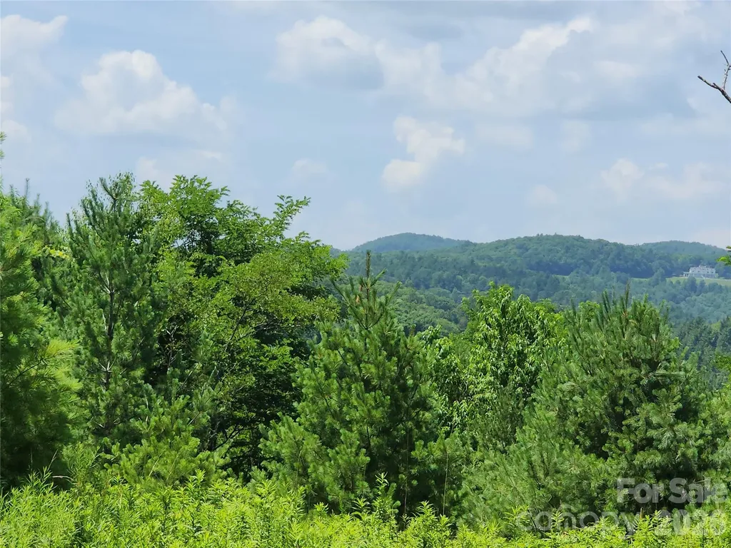 00 Chestnut Drive Blowing Rock NC 28605