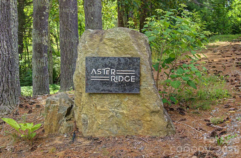 34 Aster Ridge Drive Waynesville NC 28786