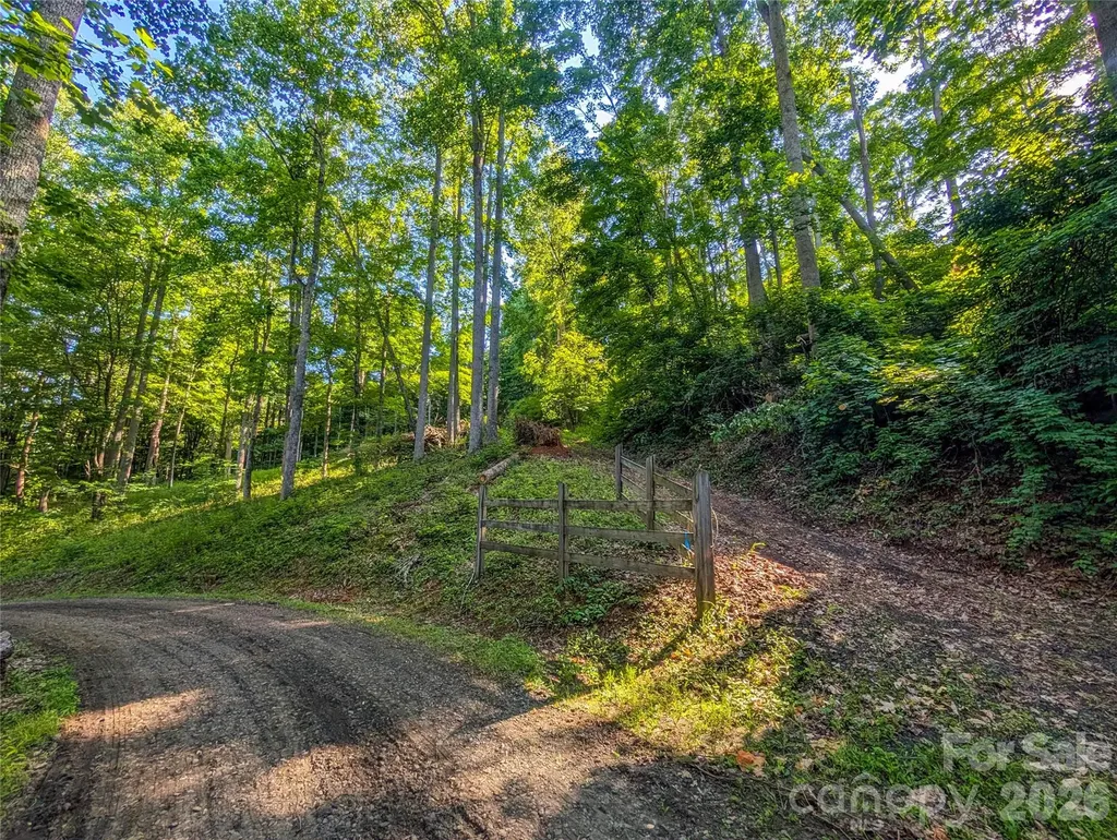 000 Amber Ranches Bakersville NC 28705