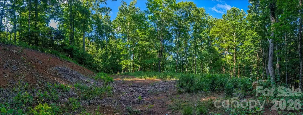 000 Amber Ranches Bakersville NC 28705
