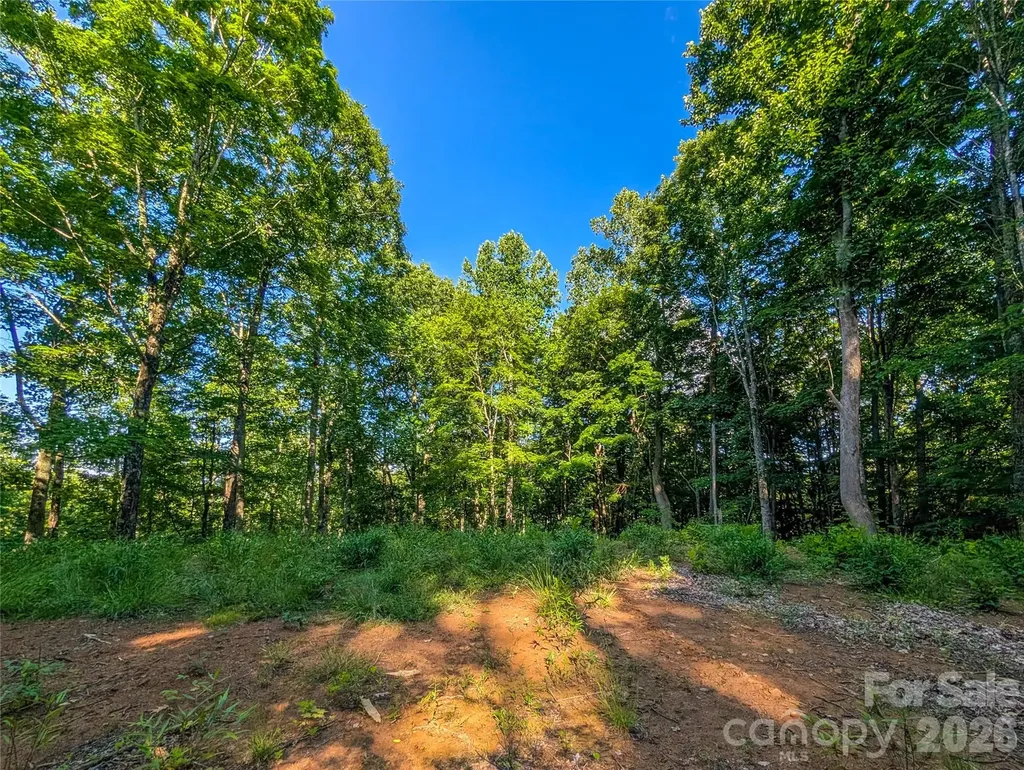 000 Amber Ranches Bakersville NC 28705