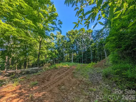 000 Amber Ranches Bakersville NC 28705