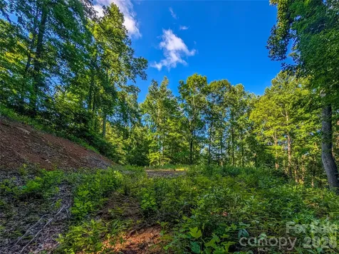 000 Amber Ranches Bakersville NC 28705