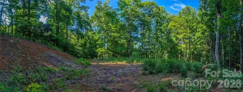 000 Amber Ranches Bakersville NC 28705