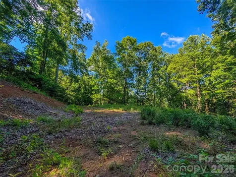 000 Amber Ranches Bakersville NC 28705