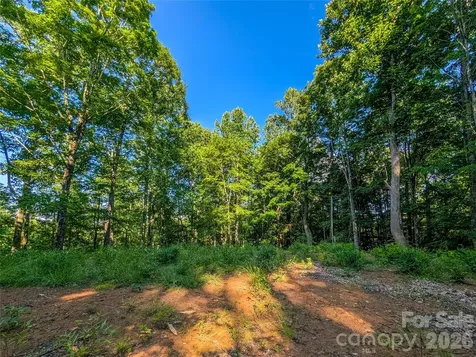 000 Amber Ranches Bakersville NC 28705