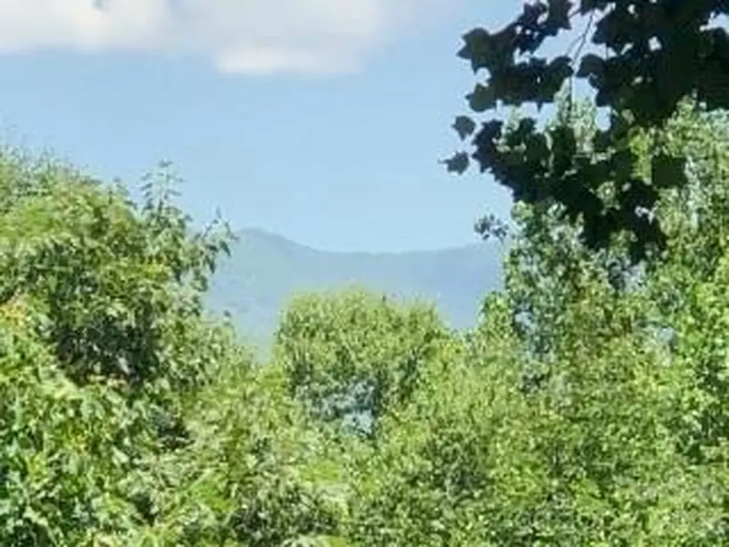 325 Hedgewood Drive Tuckasegee NC 28783