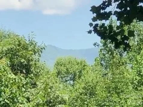 325 Hedgewood Drive Tuckasegee NC 28783