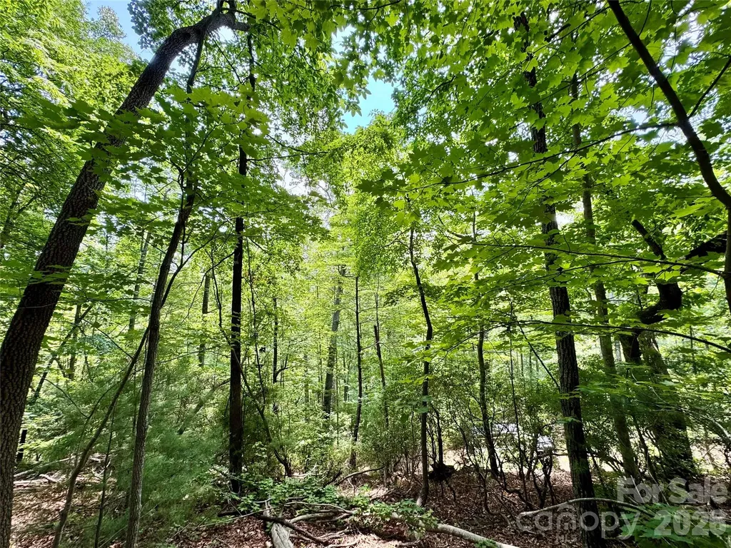 Lot 23 Bear Track Lane Lenoir NC 28645