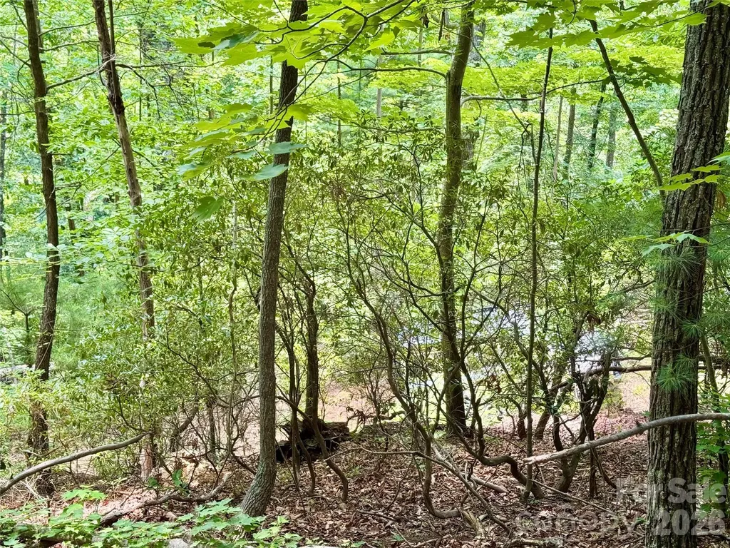 Lot 23 Bear Track Lane Lenoir NC 28645