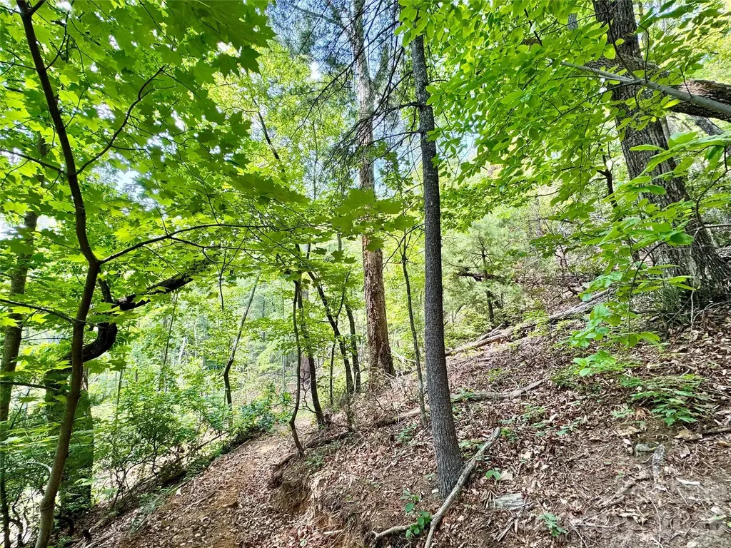 Lot 23 Bear Track Lane Lenoir NC 28645