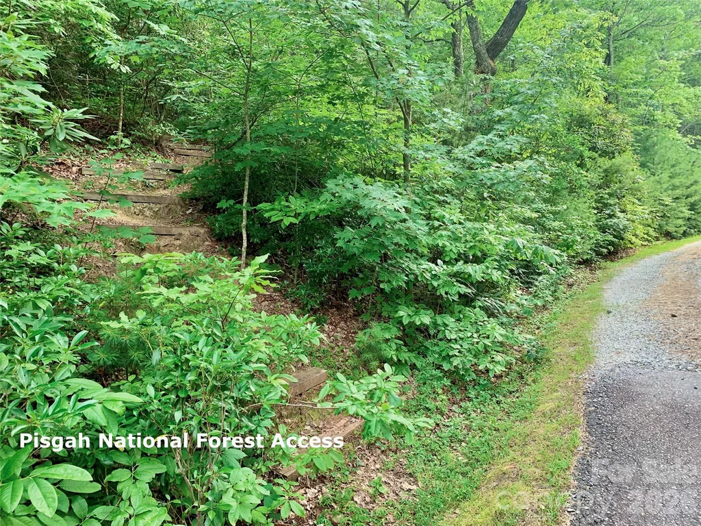 35+ Acres - Lot 23 Bear Track Lane Lenoir NC 28645