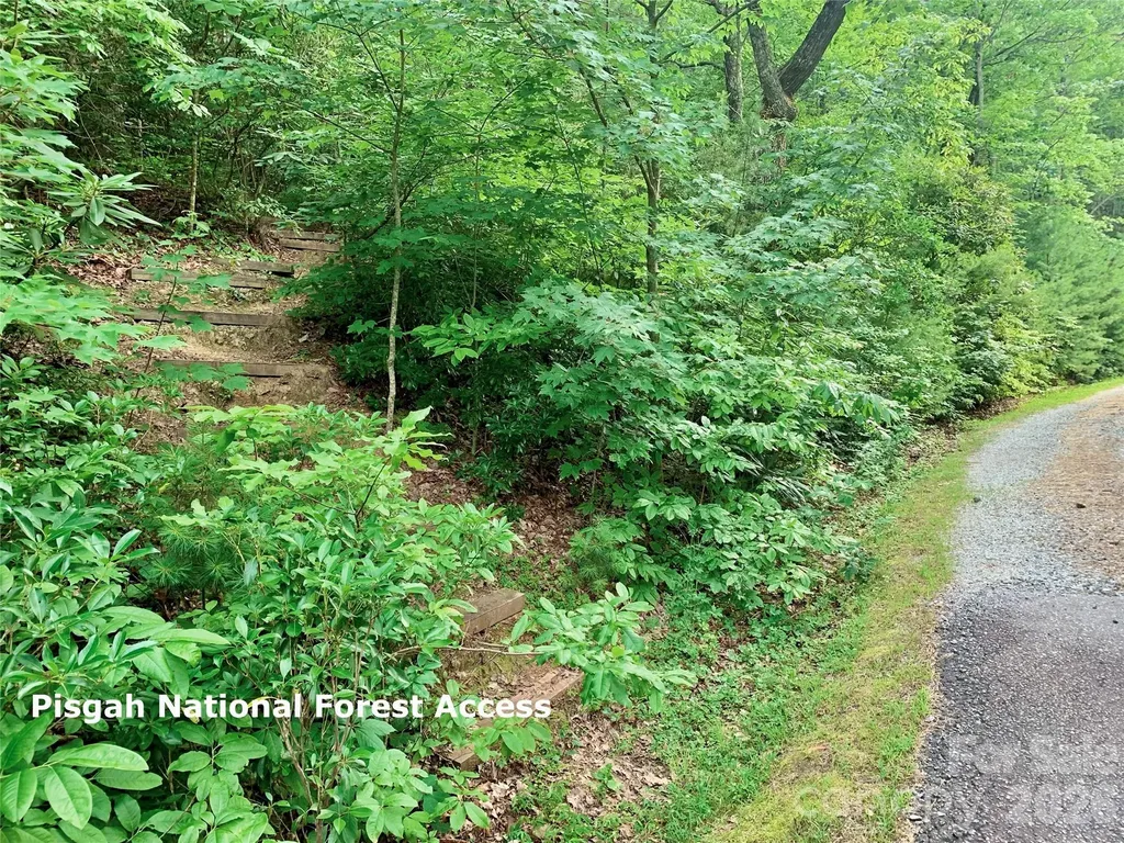 Lot 23 Bear Track Lane Lenoir NC 28645