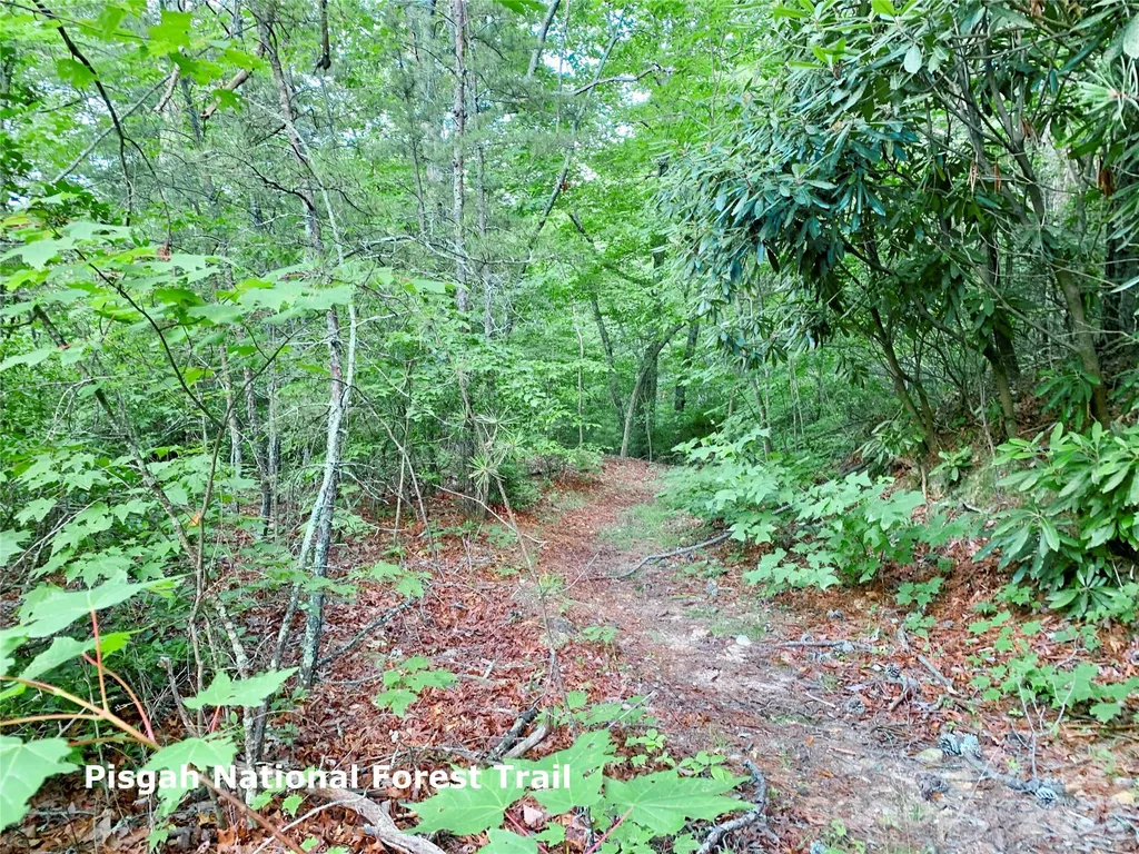35+ Acres - Lot 23 Bear Track Lane Lenoir NC 28645