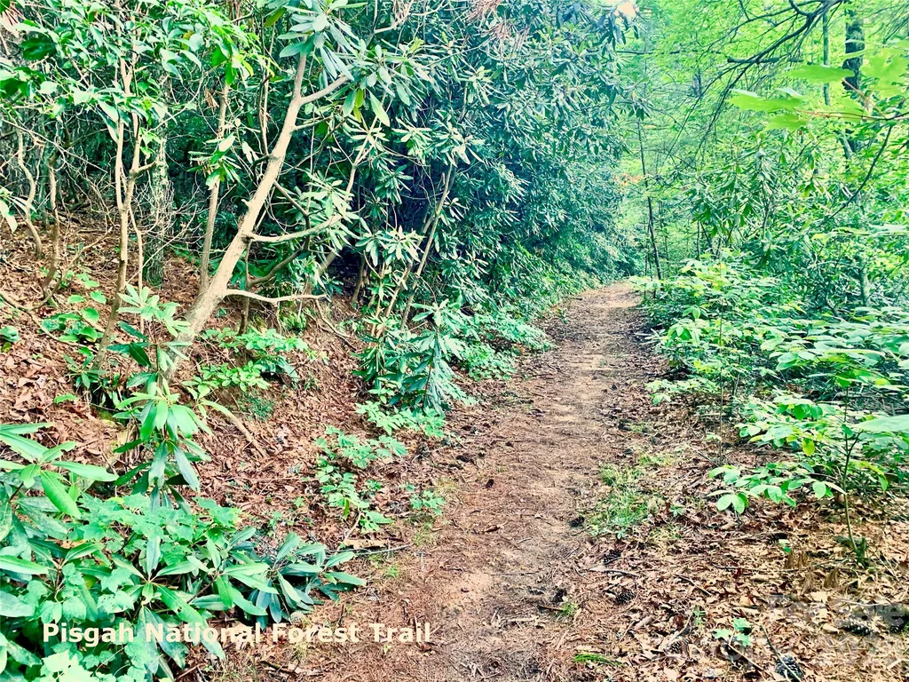 35+ Acres - Lot 23 Bear Track Lane Lenoir NC 28645
