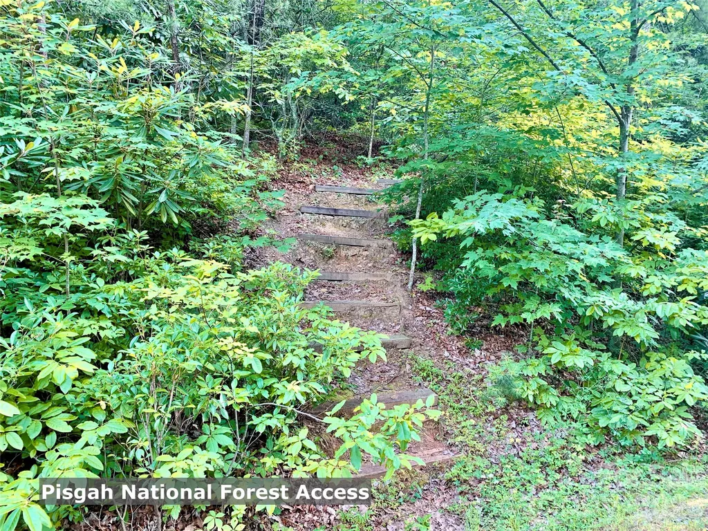 35+ Acres - Lot 23 Bear Track Lane Lenoir NC 28645