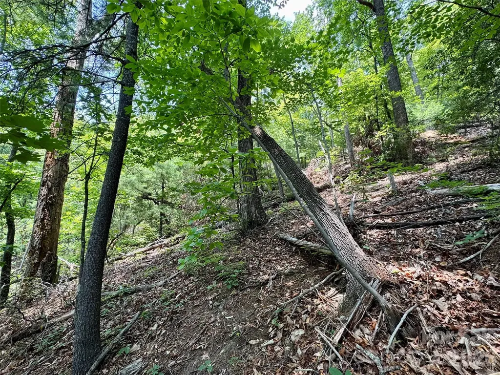 Lot 23 Bear Track Lane Lenoir NC 28645