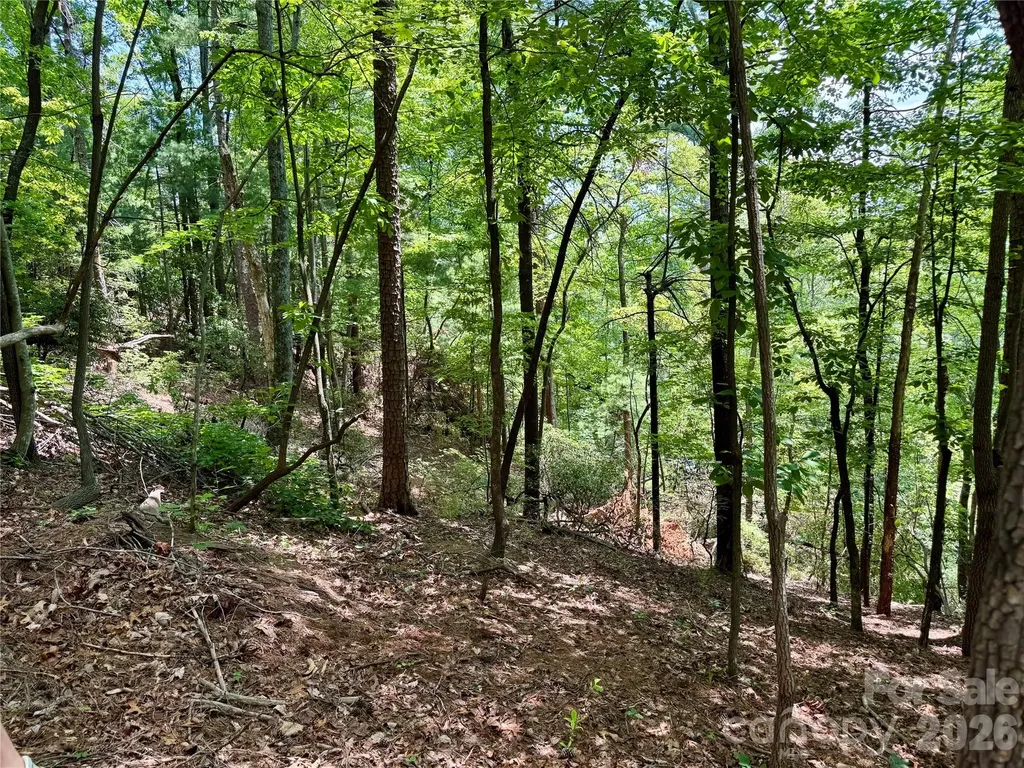 35+ Acres - Lot 23 Bear Track Lane Lenoir NC 28645