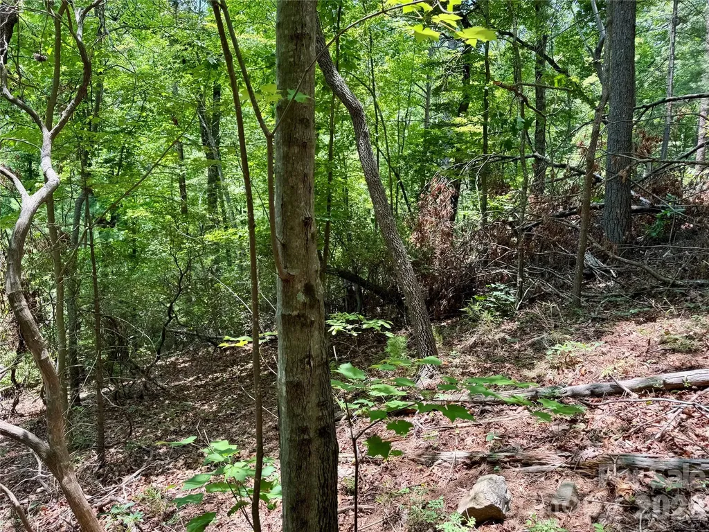 Lot 23 Bear Track Lane Lenoir NC 28645