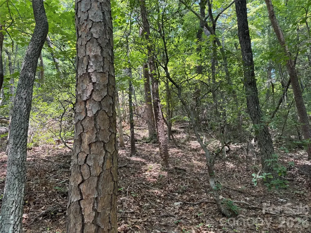 35+ Acres - Lot 23 Bear Track Lane Lenoir NC 28645