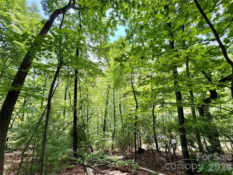 35+ Acres - Lot 23 Bear Track Lane Lenoir NC 28645