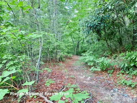 Lot 23 Bear Track Lane Lenoir NC 28645
