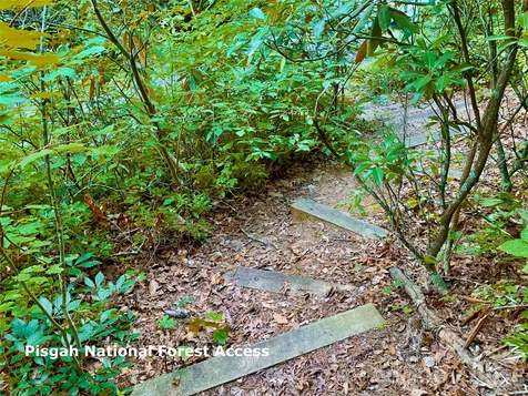 35+ Acres - Lot 23 Bear Track Lane Lenoir NC 28645