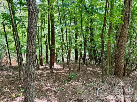 Lot 23 Bear Track Lane Lenoir NC 28645