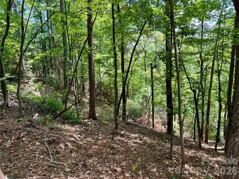 35+ Acres - Lot 23 Bear Track Lane Lenoir NC 28645